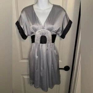 Silver and Dark Grey Silver A-Line Rainbow Dress BCBG Generation Sz 2